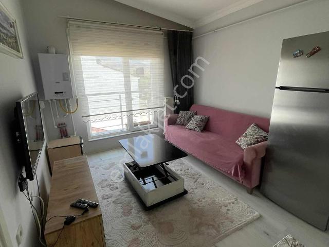 Merzifon, Amasya içerisinde kiralık mülk