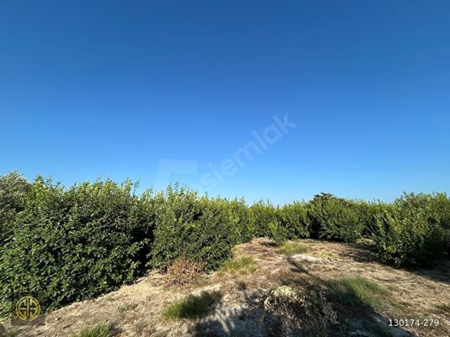 Silifke, Mersin içerisinde satılık mülk