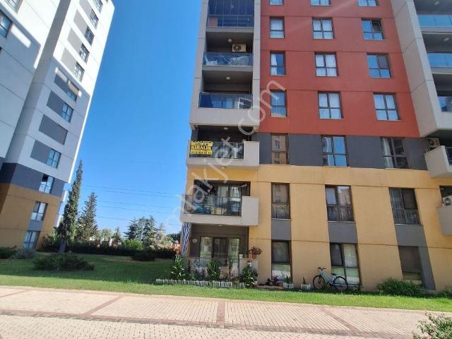 Sur Yapı Antalya Kentsel Dönüşüm İnşaat Alanı, Kepez içerisinde kiralık mülk