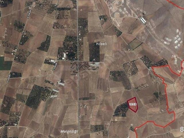 İkizce Mahallesi, Yeşilyurt içerisinde satılık Arsa