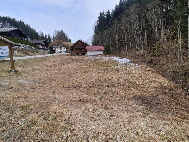 Immobilie kaufen in Vorderstoder, Oberösterreich