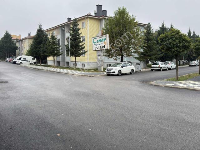 Afyonkarahisar Merkez, Afyon Merkez içerisinde kiralık mülk
