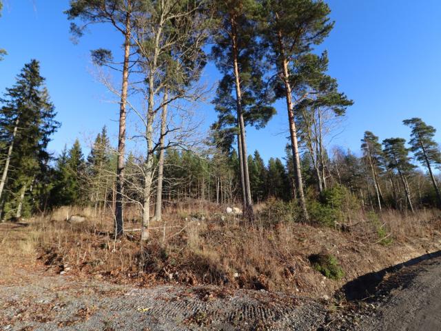 Tomt till salu i Rimbo, Stockholm
