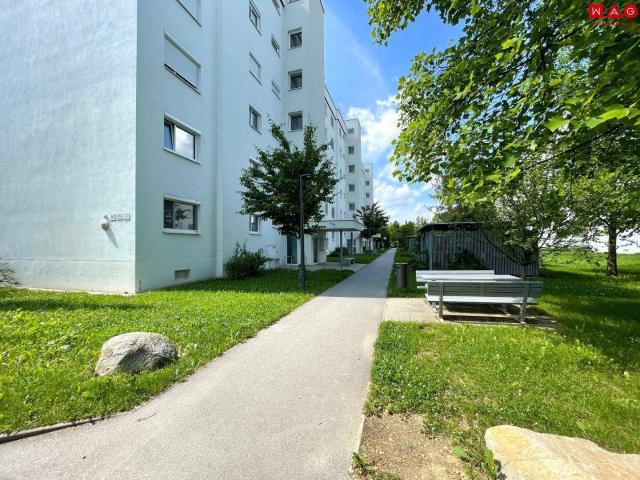 Apartment mieten in Bindermichl-Keferfeld, Linz