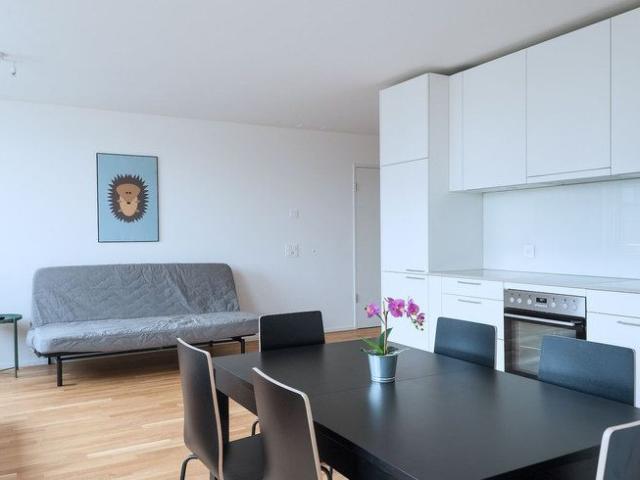 Apartment mieten in Grossbasel, Basel