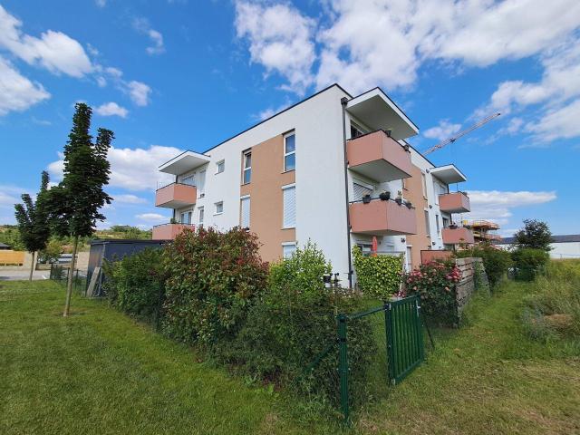 Apartment mieten in Katastralgemeinde Königsbrunn, Königsbrunn am Wagram