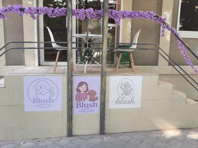 Коммерческая недвижимость аренда в Бурлачьей Балке, Днепропетровской области