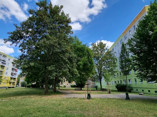 Apartment mieten in Neustadt, Halle