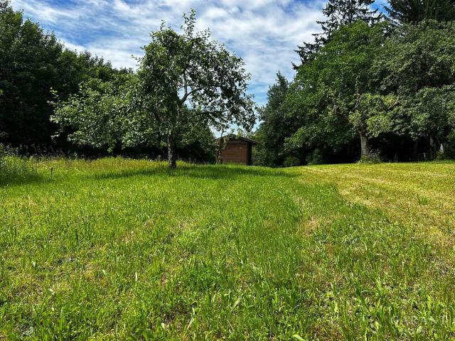 Landwirtschaft kaufen in Baden-Baden