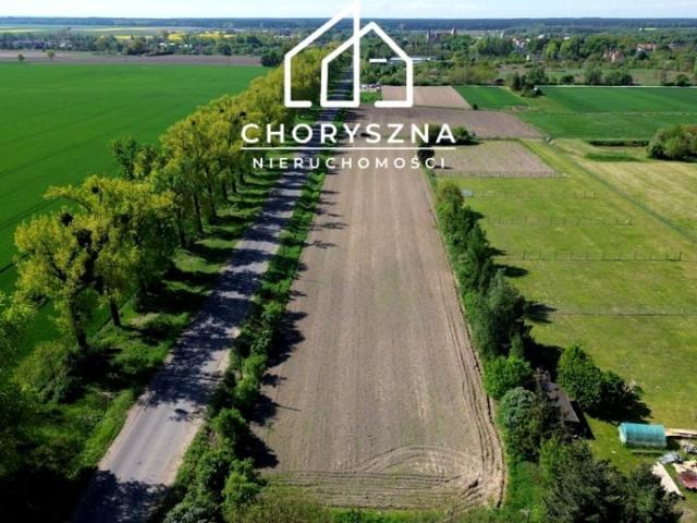 Grunt na sprzedaż w Bierutów, Dolnośląskie