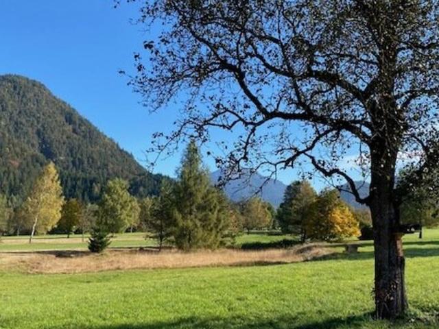 Haus mieten in Erpfendorf, Tirol