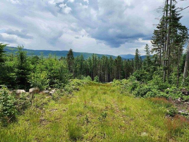Land for sale in New Hampshire
