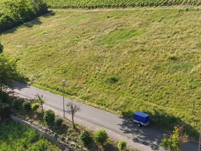 Landwirtschaft kaufen in Uppentalhof, Frickenhausen am Main