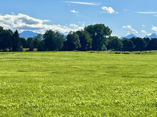 Landwirtschaft kaufen in Kurzenried, Peiting