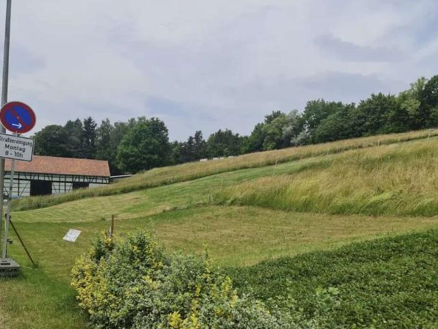 Erdgeschosswohnung kaufen in Zwickau-Ost, Zwickau