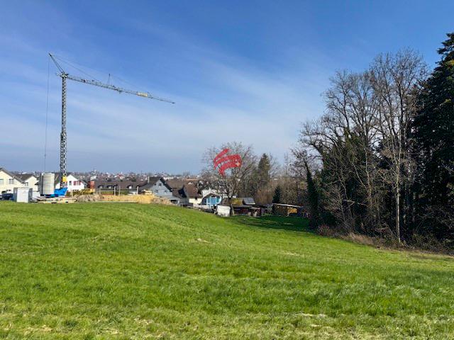 Immobilie kaufen in Berg (SG), Wahlkreis Rorschach