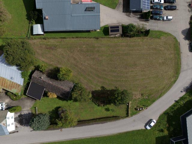 Immobilie kaufen in Steinfeld, Kärnten