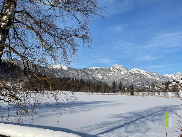 Etagenwohnung kaufen in Aigen im Ennstal, Sallaberg am See