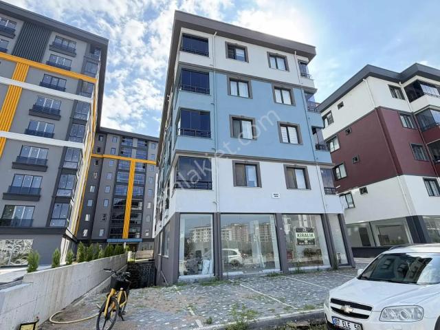 Ordu içerisinde kiralık mülk