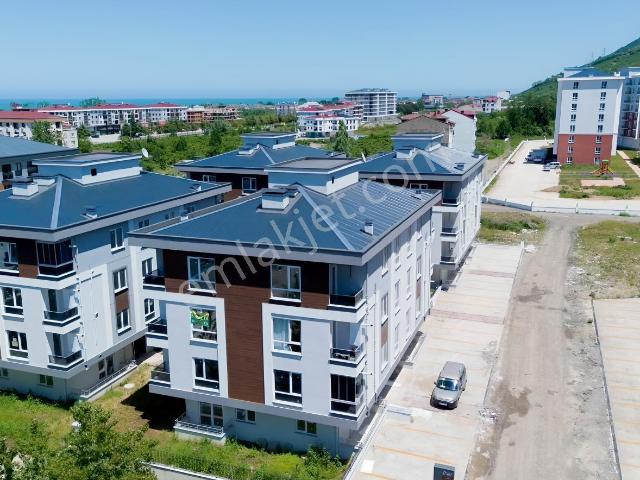 Ordu içerisinde kiralık mülk