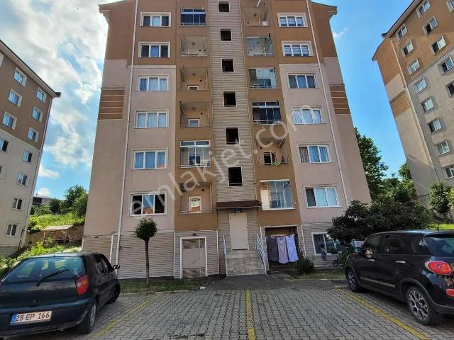 Ordu içerisinde kiralık mülk