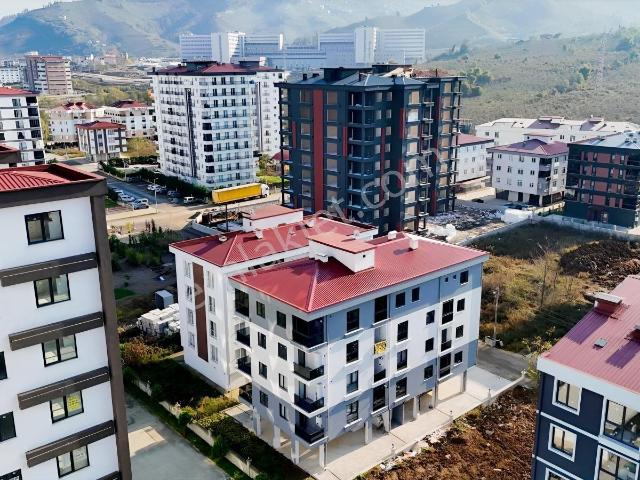 Ordu içerisinde kiralık mülk