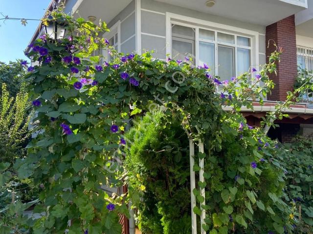 Marmaraereğlisi içerisinde kiralık Villa