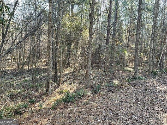 Land for sale in Monticello, Georgia