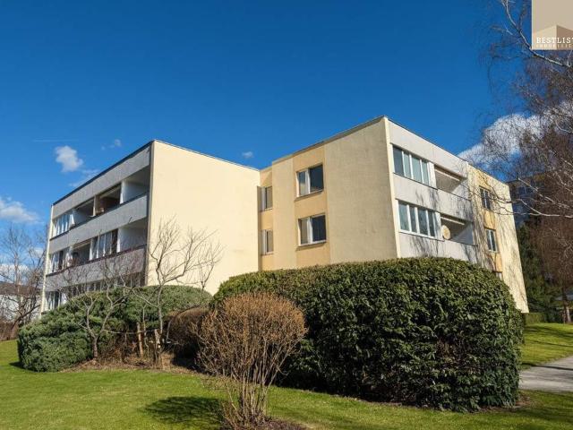 Wohnung mieten in Baden, Niederösterreich