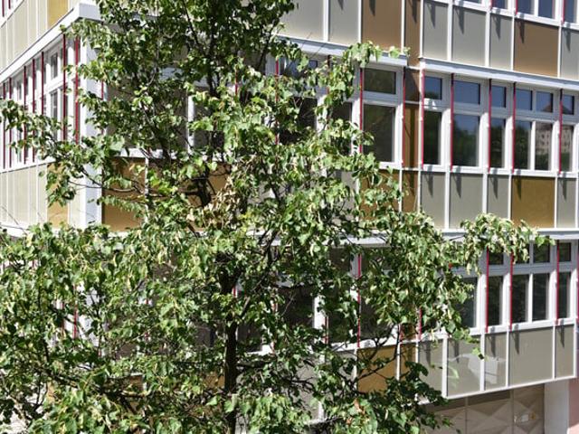 Apartment mieten in Feldkirch, Vorarlberg