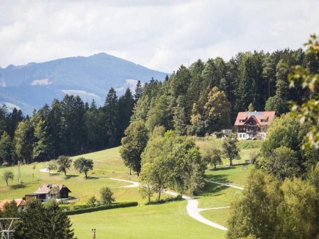 Apartment mieten in Dorfviertel, Steiermark