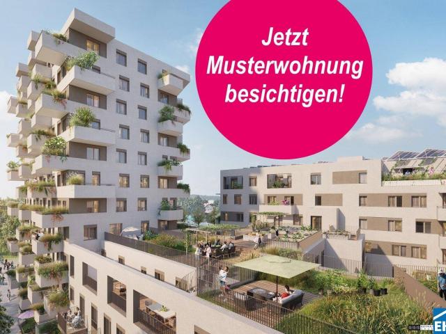 Apartment mieten in Donaustadt, Wien