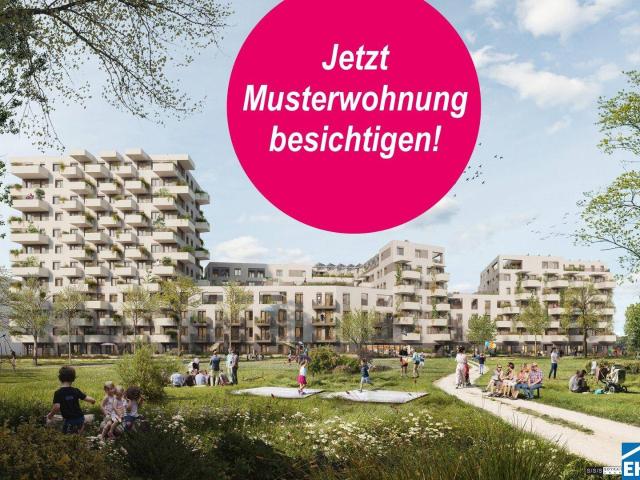 Apartment mieten in Donaustadt, Wien
