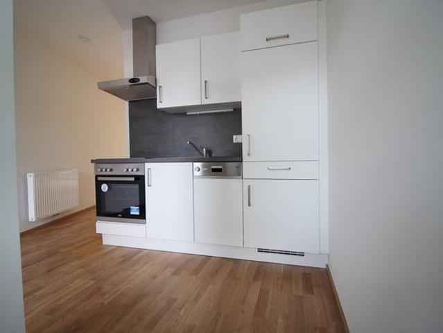Apartment mieten in Innere Stadt, Gersdorf-Feistritz
