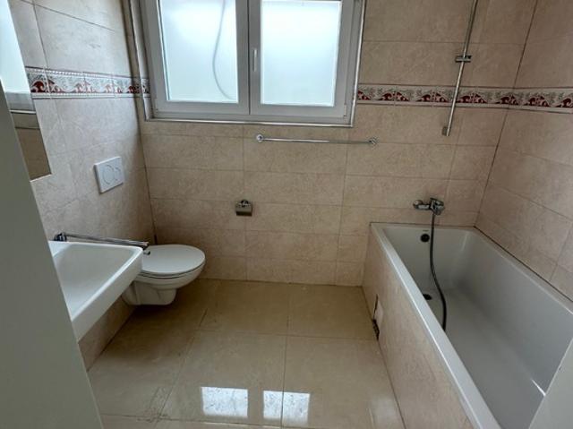 Wohnung mieten in Hallau, Schaffhausen