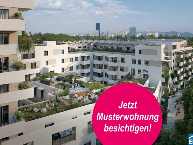 Apartment mieten in Donaustadt, Wien
