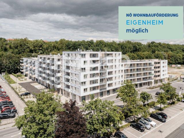 Apartment kaufen in Weitern, St. Pölten