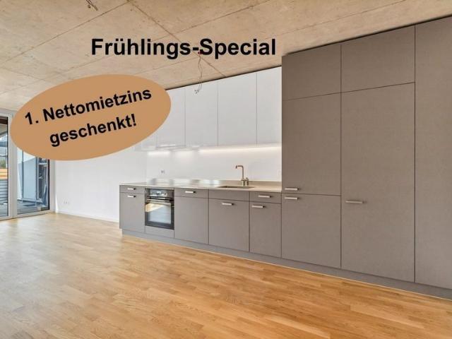 Apartment mieten in Aesch (BL), Basel-Landschaft