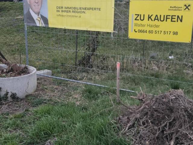 Apartment kaufen in Donnerskirchen, Burgenland