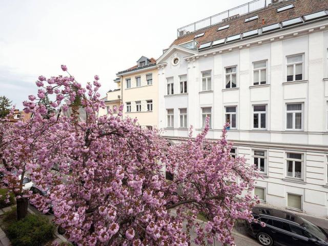 Apartment kaufen in Sievering, Wien