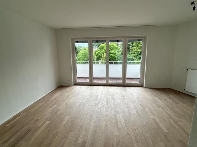 Apartment mieten in Kleinstadt, Luzern