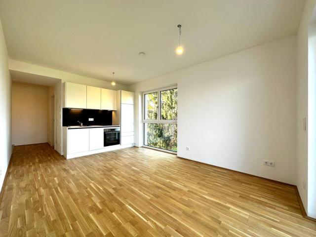 Apartment mieten in Katastralgemeinde Gries, Graz