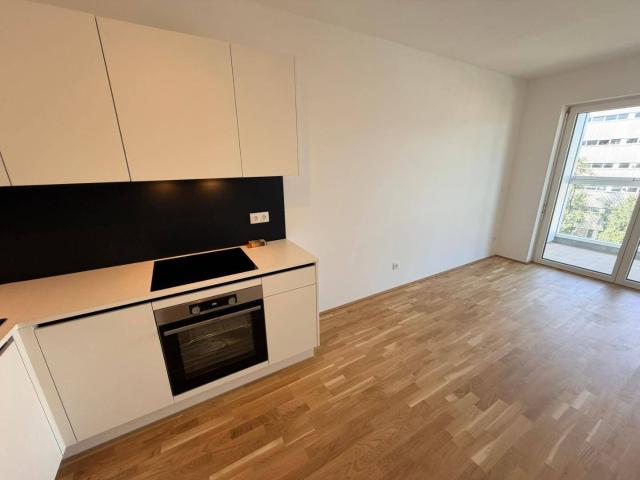 Apartment mieten in Katastralgemeinde Gries, Graz