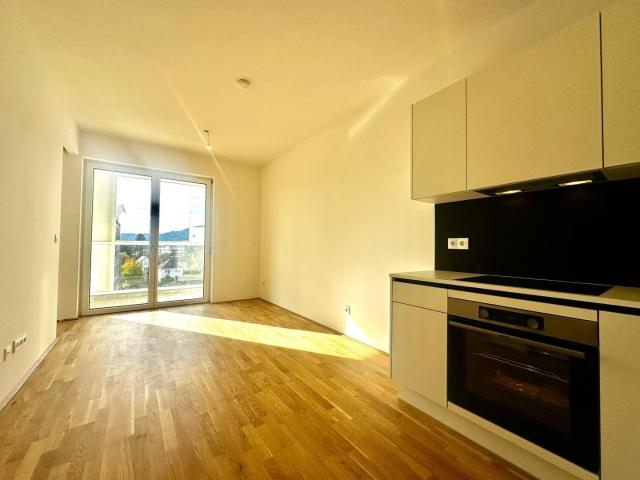Apartment mieten in Katastralgemeinde Gries, Graz