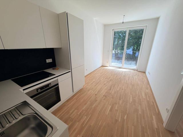 Apartment mieten in Katastralgemeinde Gries, Graz