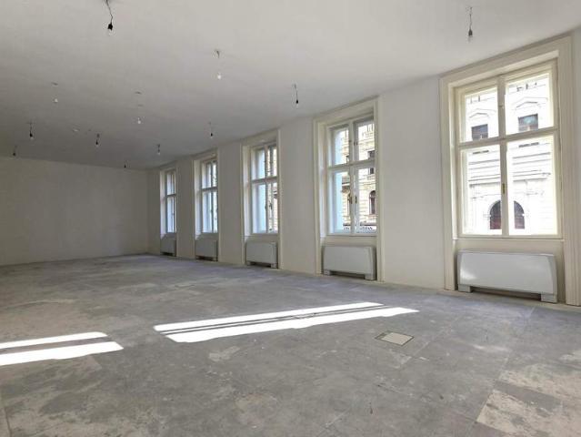 Gewerbe mieten in Innere Stadt, Wien