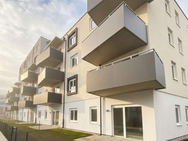 Wohnung mieten in Neustadtl an der Donau, Niederösterreich