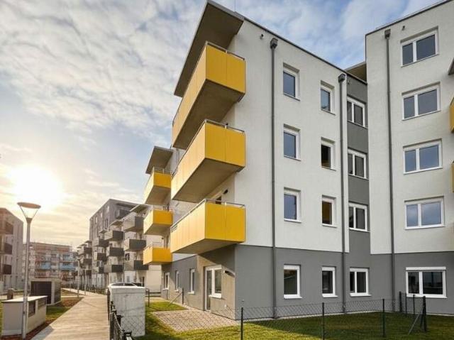 Wohnung mieten in Neustadtl an der Donau, Niederösterreich