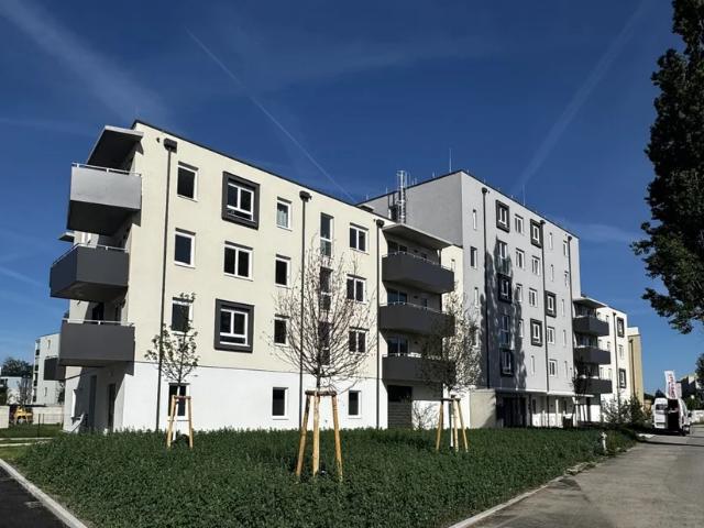 Apartment mieten in Wohnhausanlage Porsche-Viertel, Wiener Neustadt