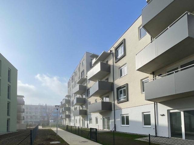 Apartment mieten in Wohnhausanlage Porsche-Viertel, Wiener Neustadt